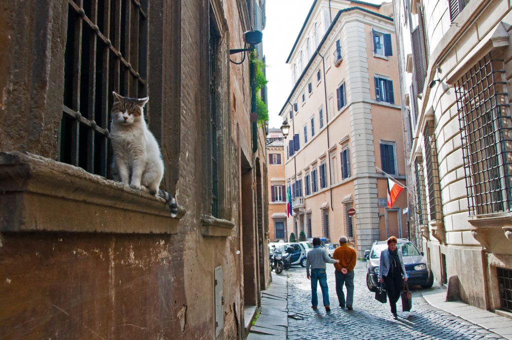 Visiting the Jewish Ghetto is great for a stroll